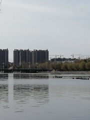 9628182