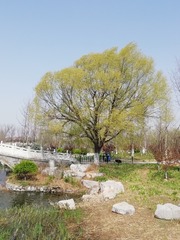 9676640