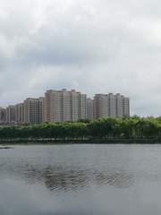 9106474