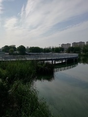 9051234