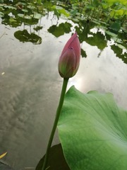 9051257