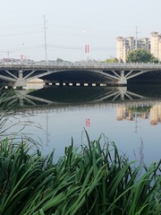 9136834