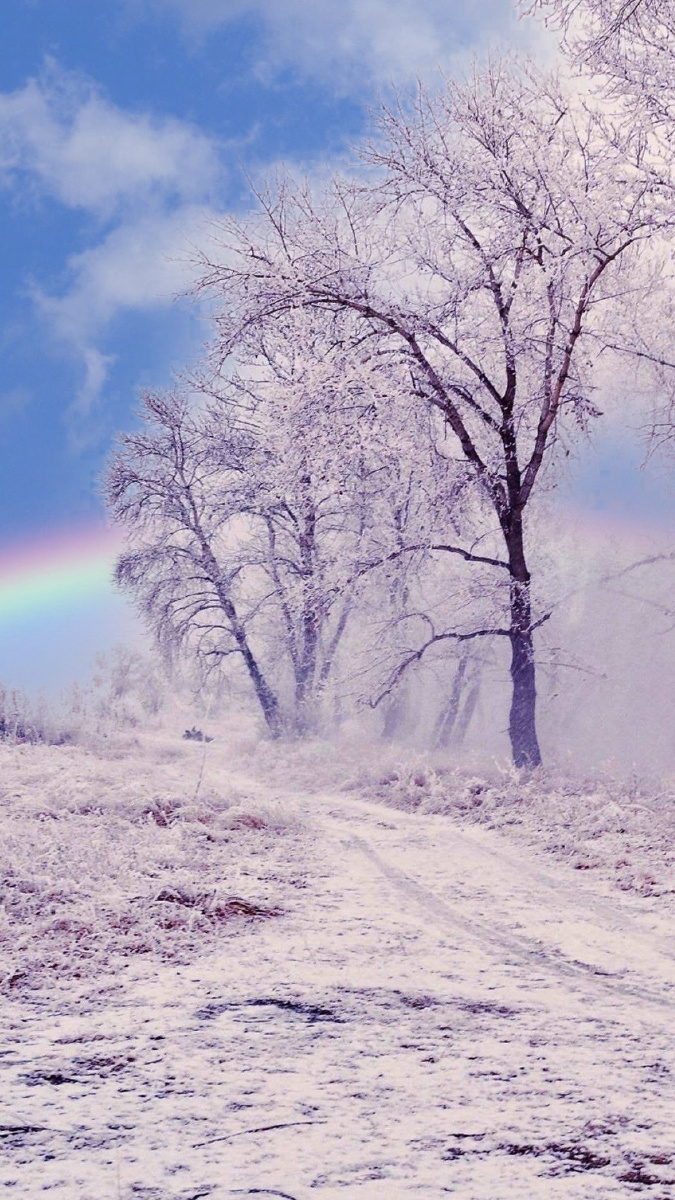 675_1200竖版 竖屏