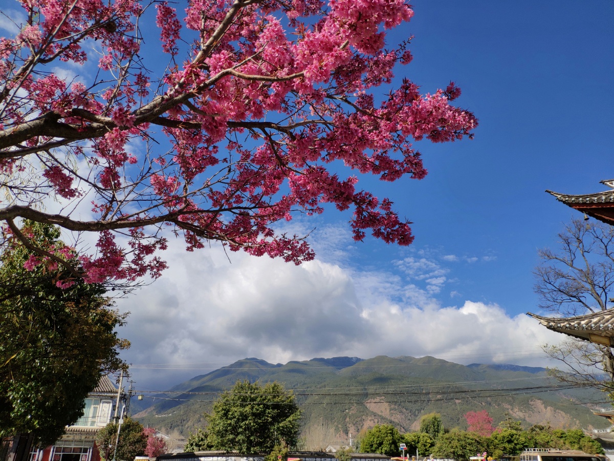 下关风,上关花,苍山雪,洱海月