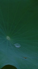 6F7CD15E-4A8C-4890-9208-91E057AD91DC/L0/001