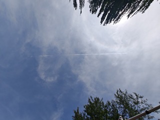 1000011540