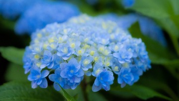F1D0B823-3504-4742-9136-2B6713BF7D71/L0/001