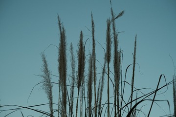 1068567B-3C8F-41F9-B869-D1FB7910463F/L0/001