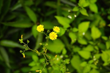 162CEC35-516E-4051-8F9D-65C150CCA608/L0/001