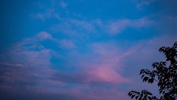 CCE698B1-3CA9-494D-82A7-87BB1258485C/L0/001