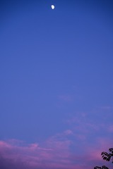 EF8AA61D-B4F0-47F0-9977-1E4FCD330319/L0/001