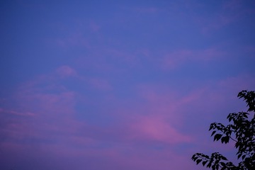 44DC3089-50F3-4A00-8C0B-B93461E4E993/L0/001