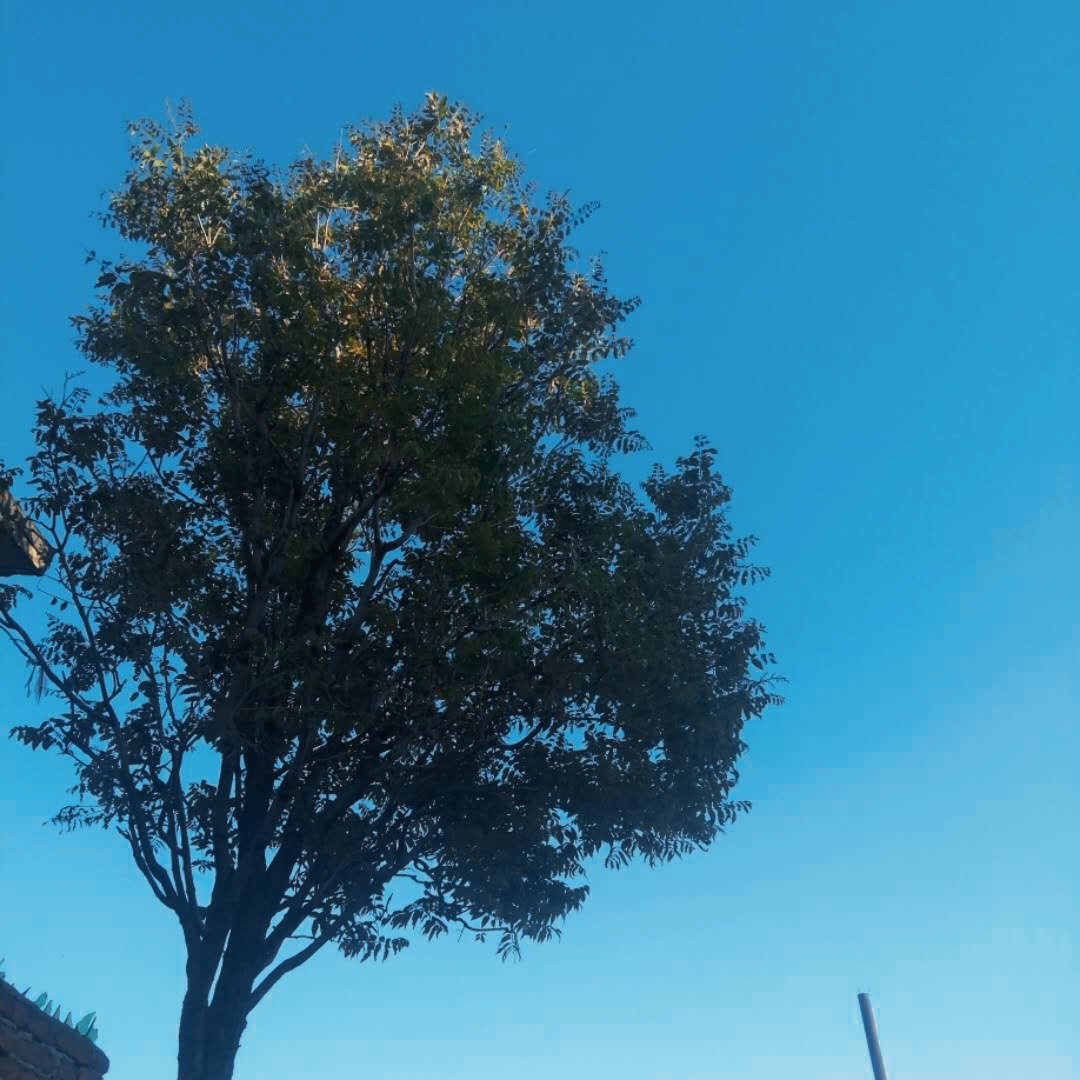 用照片记录我平平淡淡的生活