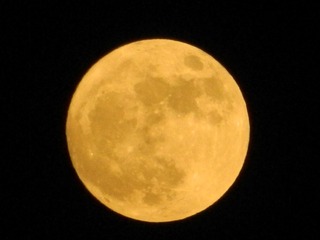 649B8595-140B-44E5-A951-BE7D89DE64DD/L0/001