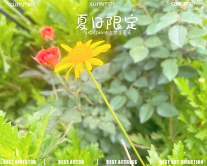5DEF0478-169C-4801-B944-62FBAC644214/L0/001