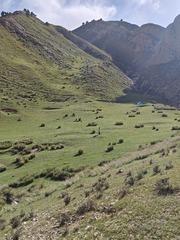1000018091