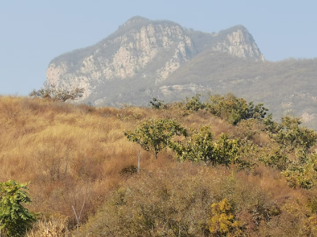 来到这个尖尖的小山头名字叫观音山风景奇特很美