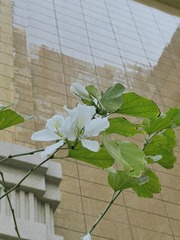8B8803F3-99F9-423B-A928-2CD2A31CF14A/L0/001
