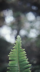 1088725