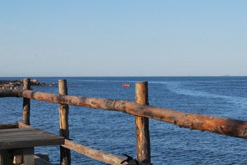 DSC_0009 (4)