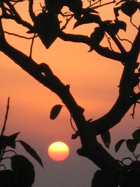 夕阳<br />
