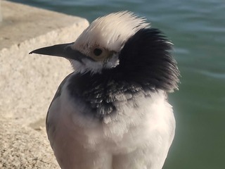 255390