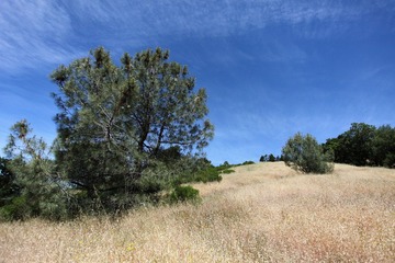 Henry W Coe State Park 1