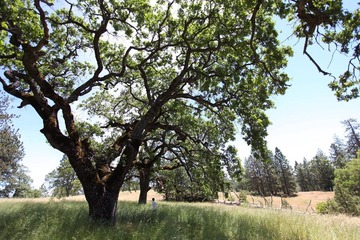Henry W Coe State Park 5