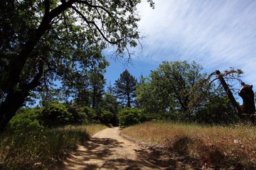Henry W Coe State Park 7