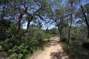 Henry W Coe State Park 8