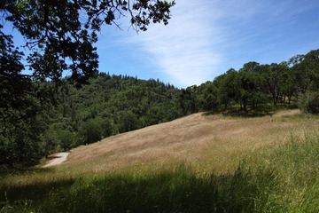 Henry W Coe State Park 9