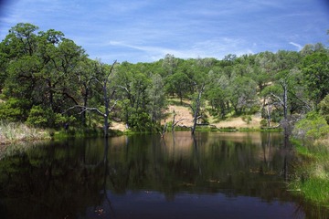 Henry W Coe State Park 10