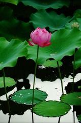 2F3D58AE-2BE8-4C27-9D90-89FCD976B13E/L0/001