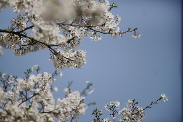 B988662D-C06C-4F9B-9344-849C0A47922D/L0/001