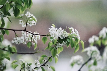 F593F3B1-90C3-4B60-865C-61901D38515F/L0/001