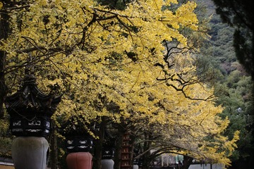 6435DB37-C8FB-4F27-A7B9-183A7C670762/L0/001