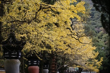 1AD94E52-1BBD-407A-9E0A-B5127F723580/L0/001
