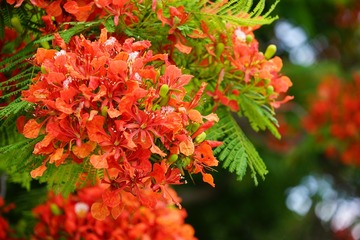 E615440C-34D6-4DF7-B1E3-74F36D2A5815/L0/001