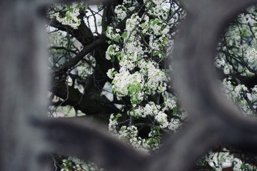 D883196E-79F4-4166-A679-EBCEDEAC59F5/L0/001