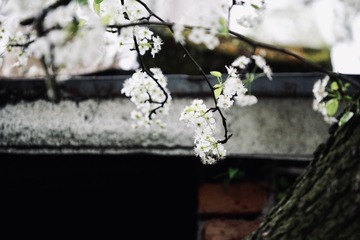 A8C222E4-4285-4C7F-A60E-B84817F69C37/L0/001