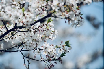 F5D43187-8FD2-447A-B249-E2146762DC6A/L0/001