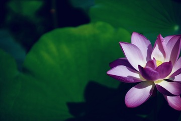 92CB0C2B-331B-4593-BAEF-BCDCE10212F8/L0/001