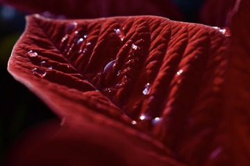 A81BB9F4-5839-4B94-B105-E9E2C25BC765/L0/001