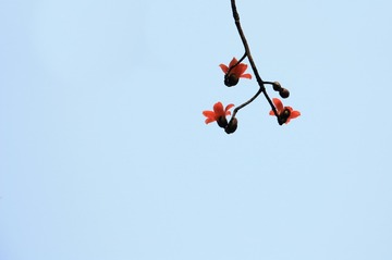 IMG_3187-1