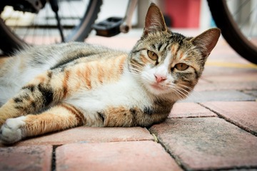 IMG_3321-1
