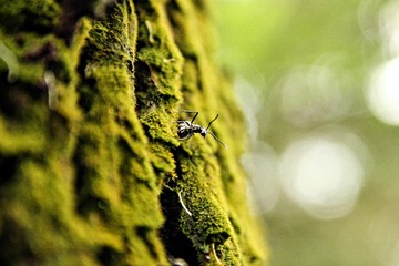 IMG_5454-1