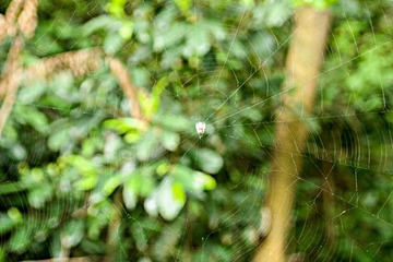 IMG_5517-1