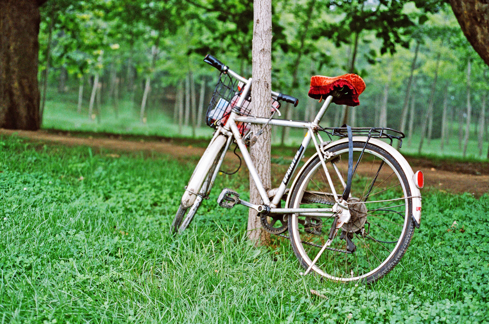 公园里的老自行车