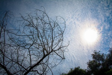 DSC_0633-1