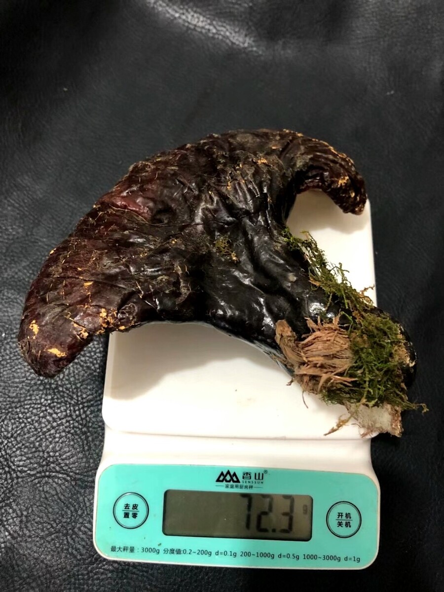血龙木点燃是什么味